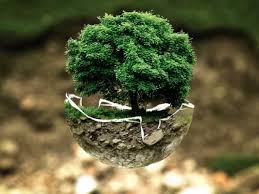 "No intercambiamos con otros planetas todas estas cosas que tenemos en la Tierra. El concepto 
de Cajita se refiere a algo hermético, que no permite el intercambio con el afuera."