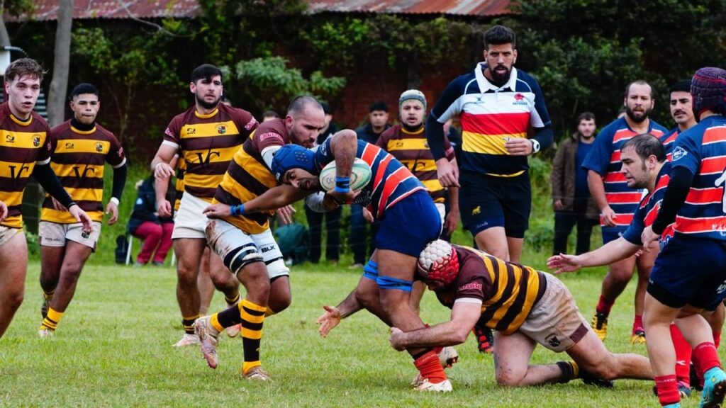 rugby