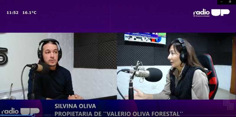 Silvina Oliva: "La rentabilidad de las pymes forestales en Misiones es insostenible con esta carga fiscal" 5 Sobre su decisión de seguir operando en Misiones, Oliva destacó dos razones principales: el arraigo familiar de su empresa, fundada por su padre, y el alto costo de deslocalización que implicaría trasladarse a otra provincia.