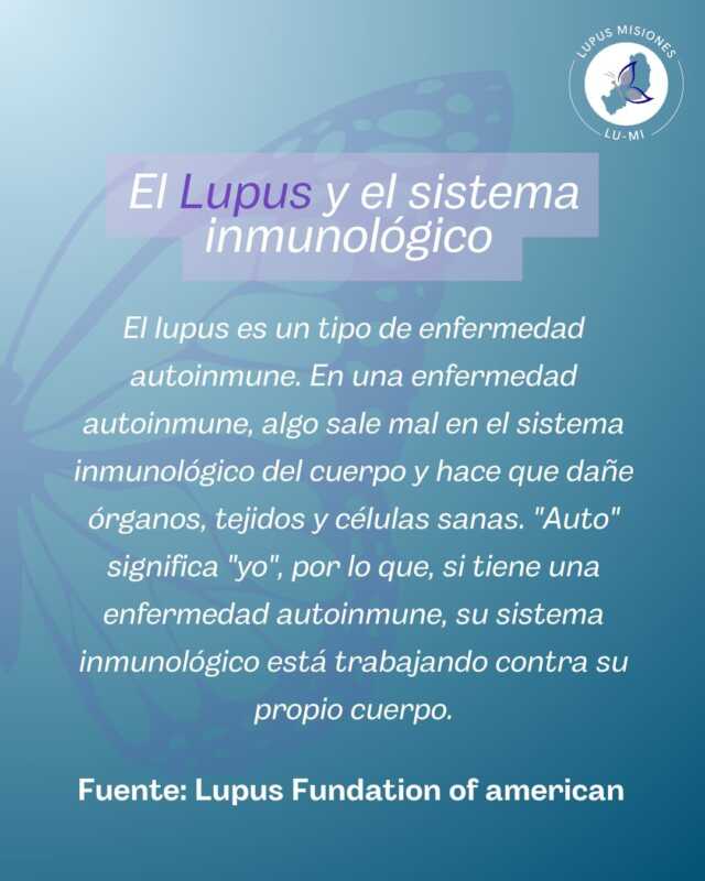 Lupus: abordaje integral en el Hospital Madariaga 5 En la provincia se encuentra el grupo Lupus Misiones