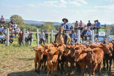 Misiones Expo Rural