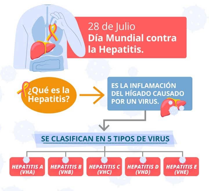 Aumentan los casos de hepatitis A y B en Argentina: la cifra ya superó lo registrado en 2024 3 28 de julio dia mundial contra la hepatitis