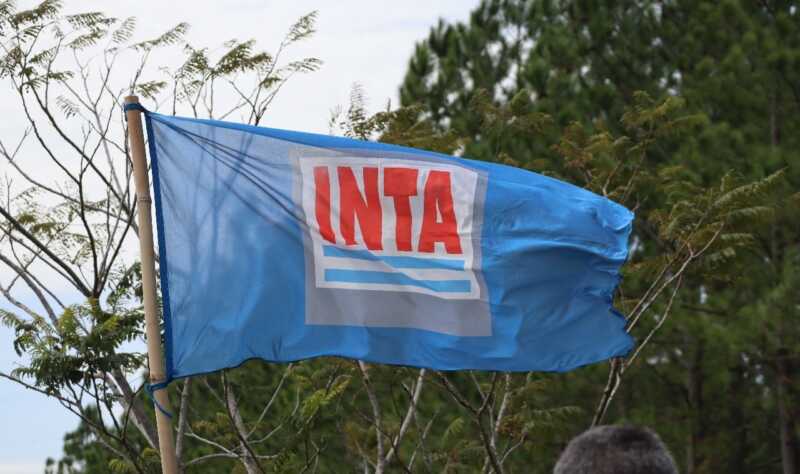 Desde APINTA sostienen que la reducción de personal afecta tanto a investigadores como a técnicos y podría comprometer la asistencia a productores.