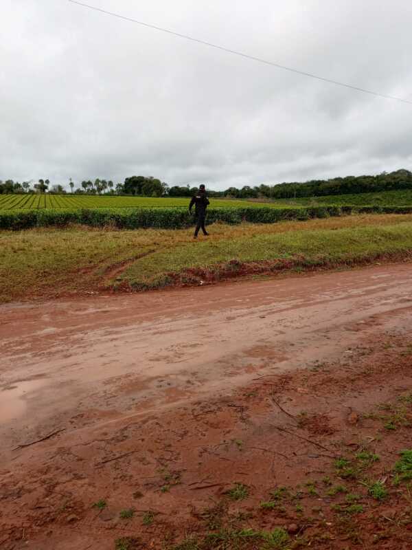 Buscan intensamente a Jorge Prestes en zona rural de Oberá 4 Imagen de WhatsApp 2025 07 29 a las 11.44.36 028b72b1 - 3