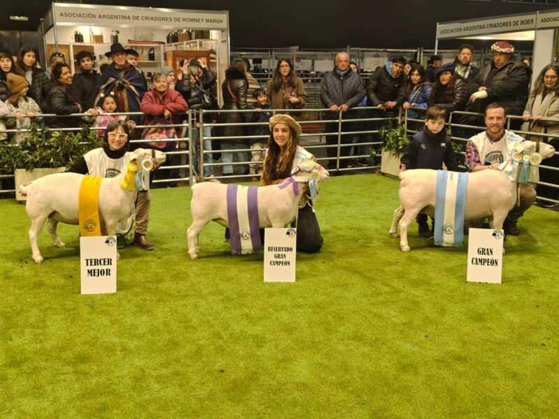 Misiones dijo presente en la Expo Rural de Palermo 2 Misiones