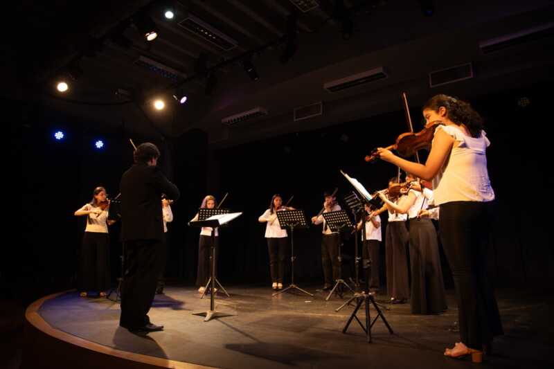 VIOLINES - 2