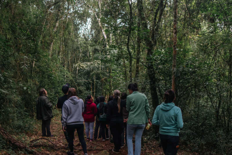 Misiones lanzó “Volar 2025”, el primer encuentro internacional de avistaje de aves 2 Volar 2025: el encuentro internacional se llevará en Iguazú