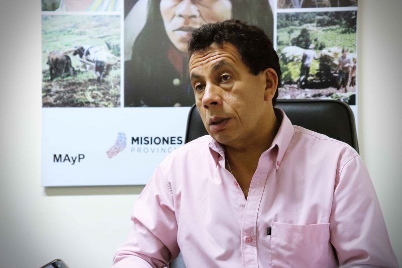 Cosecha récord de tabaco en Misiones: “El productor pudo vender, que es lo importante” 3 WhatsApp Image 2025 07 01 at 12.40.07 2 - 2