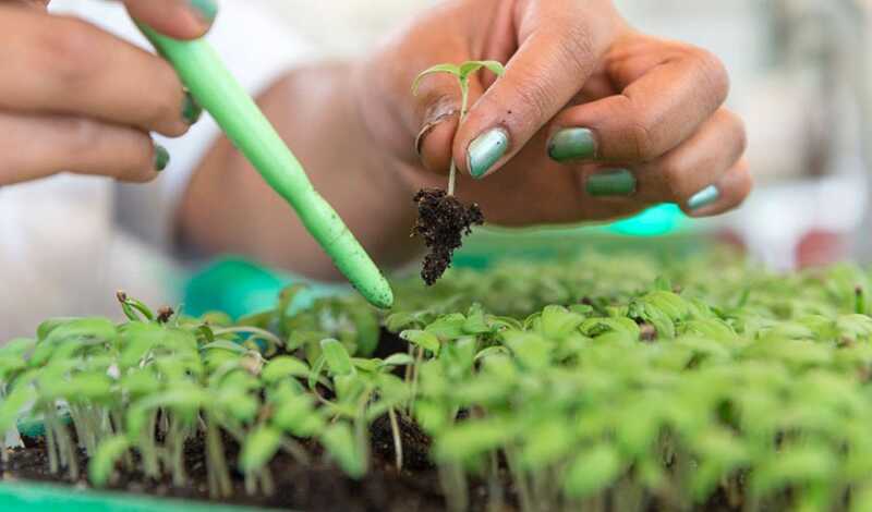 La revolución verde llega al agro: "El 80% de las empresas de Casafe ya produce insumos biológicos" 2 WhatsApp Image 2025 07 03 at 11.57.34 1 - 1