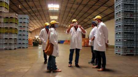 Misiones apuesta a ampliar sus mercados internacionales con capacitación gratuita cooperativa citricola alem 1 - 2