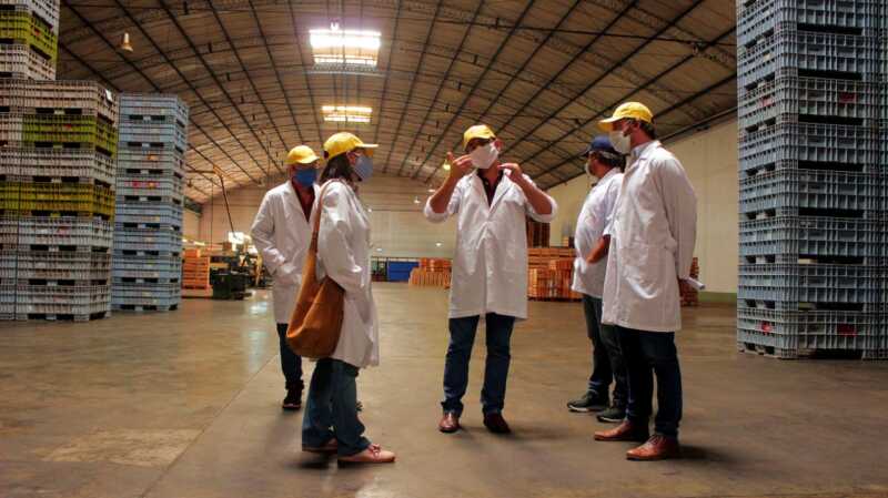 Misiones apuesta a ampliar sus mercados internacionales con capacitación gratuita cooperativa citricola alem 1 - 1