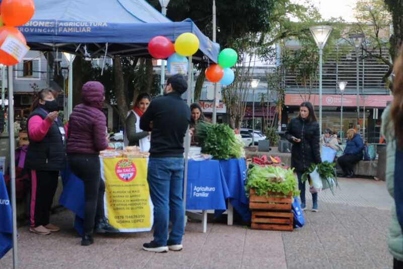 Verduras, carnes y caña con ruda: feriantes ofrecen sus productos en el centro de Posadas 4 feria Posadas productores 1 - 3