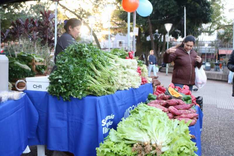 Verduras, carnes y caña con ruda: feriantes ofrecen sus productos en el centro de Posadas 8 feria Posadas productores 11 - 7