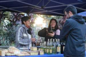 Posadas feria