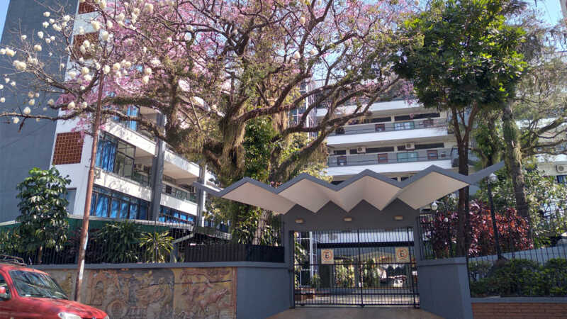 En 10 años aumentaron un 54% los egresados docentes, pero solo un 1% la matrícula escolar 3 En Misiones crece la cantidad de docentes egresados, pero se estanca la matrícula en inicial, primaria y secundaria. Faltan datos y planificación territorial.