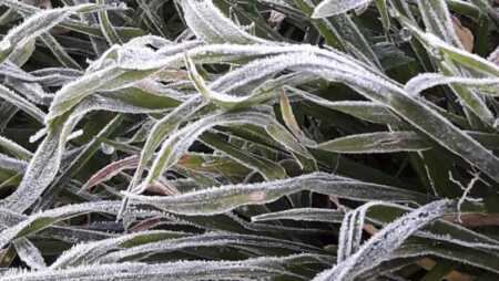 frio helada