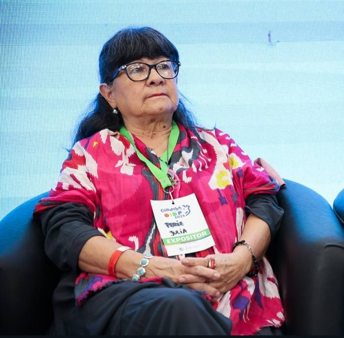 Julia Perié: “Necesitamos un gran frente que exprese el rechazo a las políticas de Milei” 3 La exdiputada nacional del PJ propuso la conformación de un frente opositor amplio, integrado por el peronismo, el Partido de la Soberanía, sectores desencantados de la Renovación y fuerzas del campo nacional y popular.