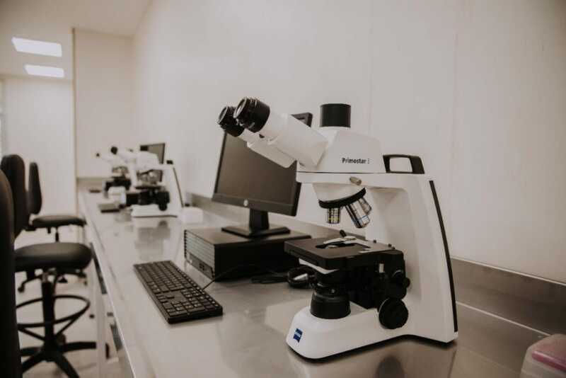Iguazú: El gobierno nacional eliminó el Instituto Nacional de Medicina Tropical 7 laboratorio medicina tropical - 6
