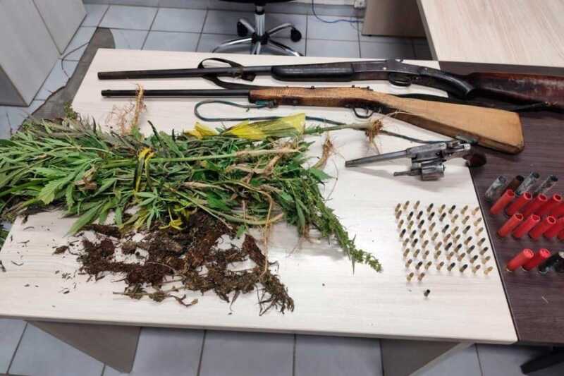 Brasil destruyó uno de los cultivos de marihuana más grande de su historia: 138 mil plantas 2 marihuana brasil 2 - 1