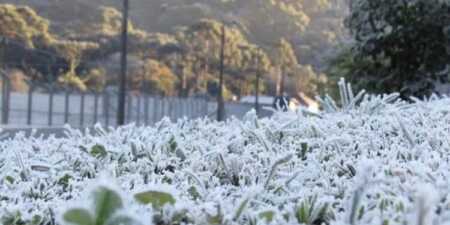 ola de frio 1 - 7