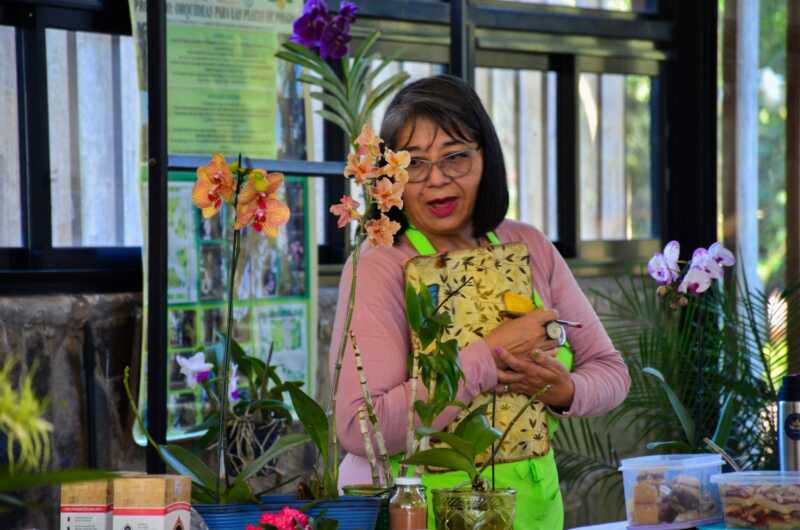 orquideas