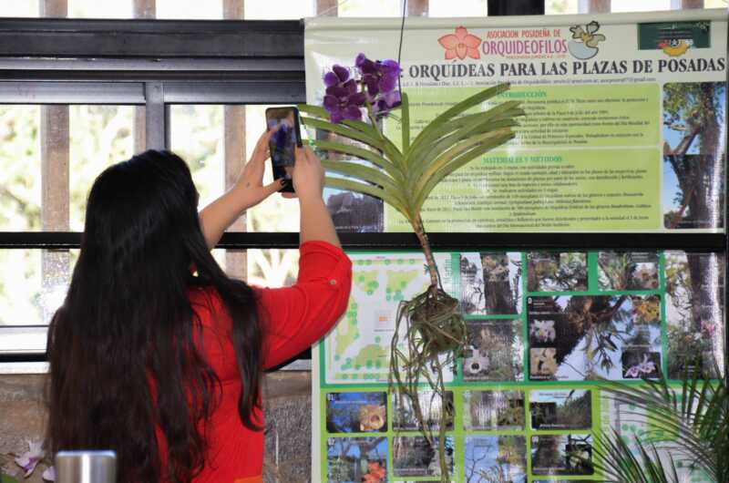 orquideas 5 - 11