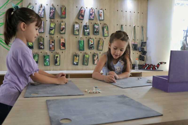 Durante las vacaciones de invierno, el Parque del Conocimiento de Misiones ofrece actividades gratuitas para niños y familias, con teatro, talleres, muestras, astronomía y más. 