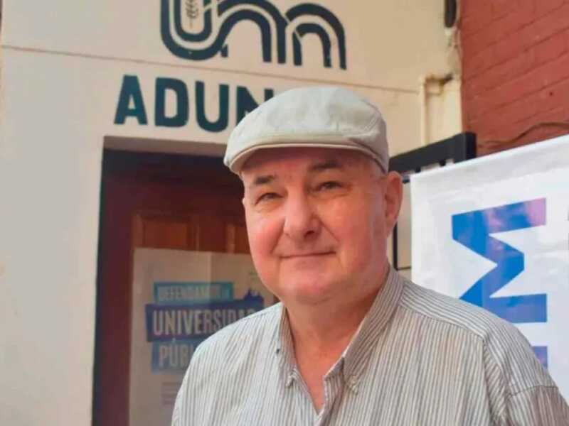 docentes universitarios