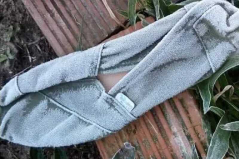 El frio polar se apoderó de esta alpargata que quedó a la intemperie en Virasoro (Corrientes) 