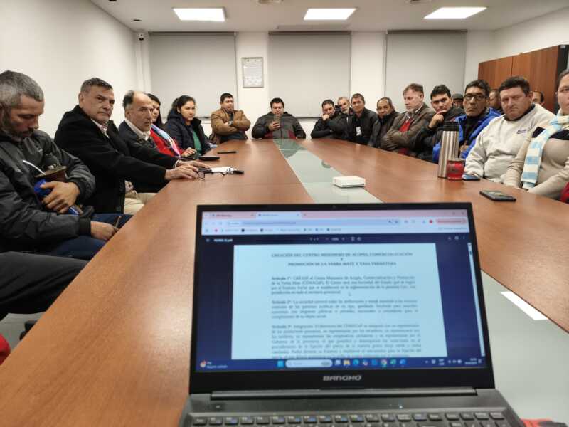 Gortari sobre la crisis yerbatera: los 200 millones que cambiaron de manos con la desregulación 6 “El centro fijaría un precio justo, compraría a los secaderos que paguen ese valor a los productores y acopiaría la yerba en galpones propios o recuperados como los de la ex CRYM”, explicó.