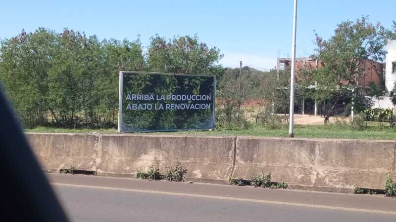 Motosierra y política: Diputado de Misiones denuncia sabotaje a la campaña y escalada de violencia 2 Diputado