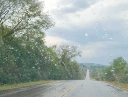 Tiempo inestable en Misiones: lunes con lluvias, tormentas y descenso de temperaturas Imagen de WhatsApp 2025 08 03 a las 18.05.39 25276f84 - 9