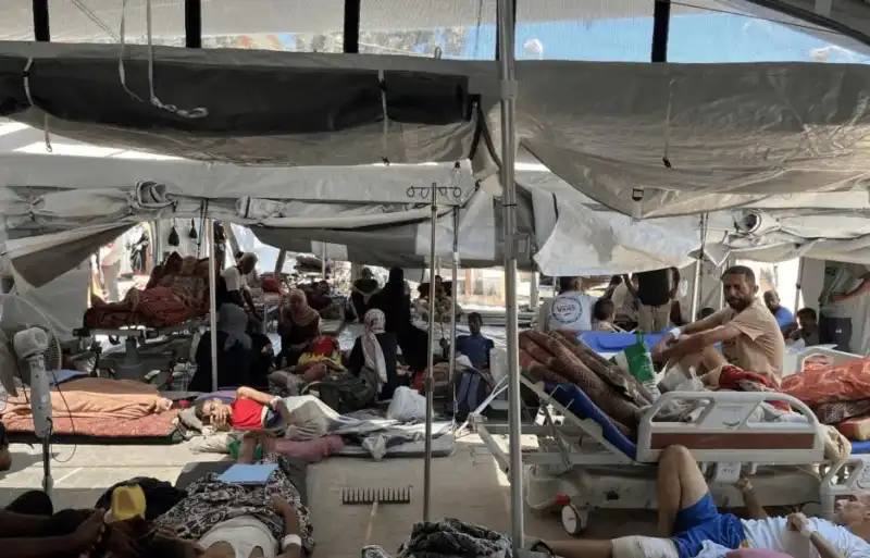 Desnutrición infantil en Gaza subió 10% en una semana: Médicos sin Fronteras denuncian “masacre orquestada” 2 Médicos Sin Fronteras cuestiona entrega de ayuda en Gaza