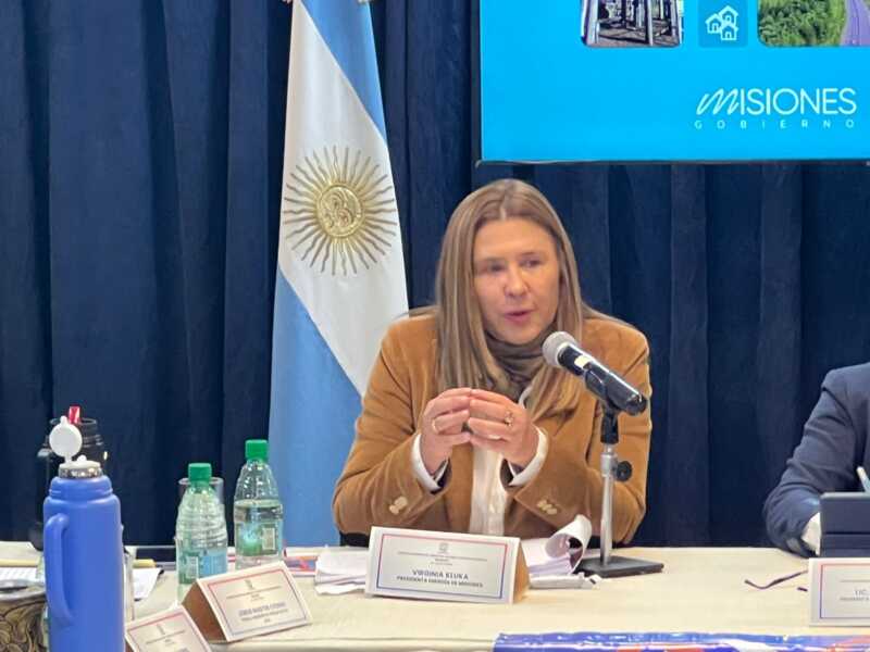 Kluka presentó el presupuesto 2026 de Energía de Misiones con foco en inversión, sustentabilidad y digitalización 3 Virginia Kluka - 2