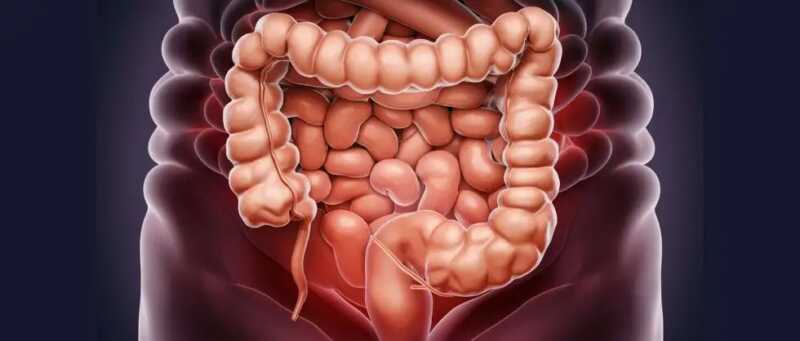 Advierten sobre la importancia de detectar a tiempo el cáncer de colon: “No hace falta tener síntomas” 2 WhatsApp Image 2025 08 07 at 10.35.04 - 1