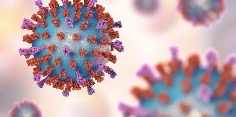 Virus sincicial respiratorio: vacuna gratuita para embarazadas y consejos para evitar contagios Virus sincicial respiratorio
