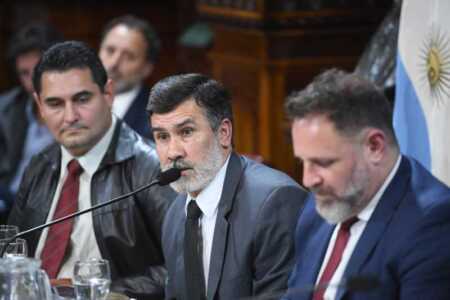 Palavecino: “Un diputado nacional tiene que representar al pueblo misionero” Palavecino amarilla