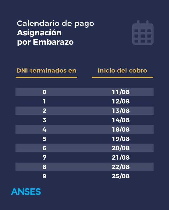 ¿Cuándo cobro Anses? Calendario completo de pagos de agosto 2025 3 Asignación por Embarazo (AUE)