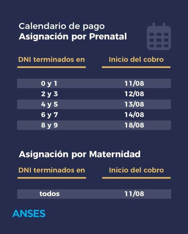 ¿Cuándo cobro Anses? Calendario completo de pagos de agosto 2025 4 Prenatal y Maternidad