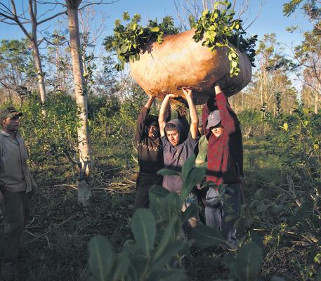 trabajo infantil Misiones