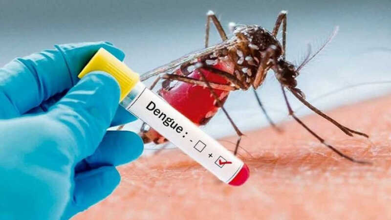 Operativo LIRAa: recorren Posadas para medir la presencia del mosquito transmisor del dengue 5 Dengue