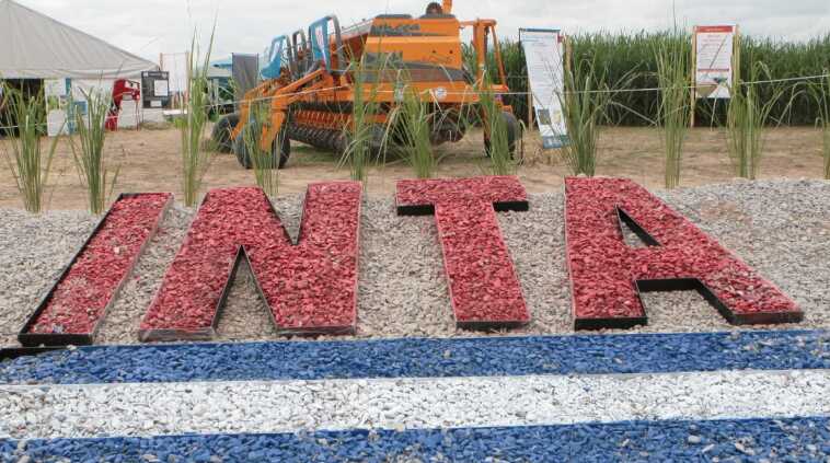 La motosierra de Milei eliminó casi 60 mil empleados públicos y el recorte sigue mes a mes 5 inta