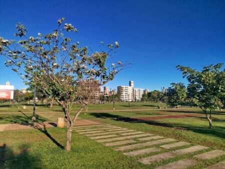 Imagen de WhatsApp 2025 09 24 a las 20.56.11 74dcf016 - 4