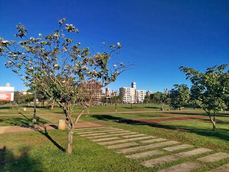 Martes 19: Frío matinal y tarde soleada en Misiones 