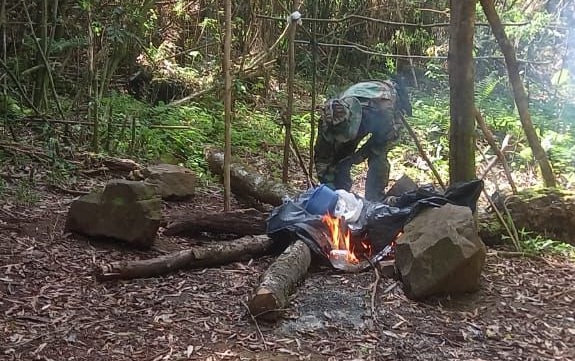 Refuerzan la vigilancia en el Parque Urugua-í contra la caza y la deforestación 1 urugua-í