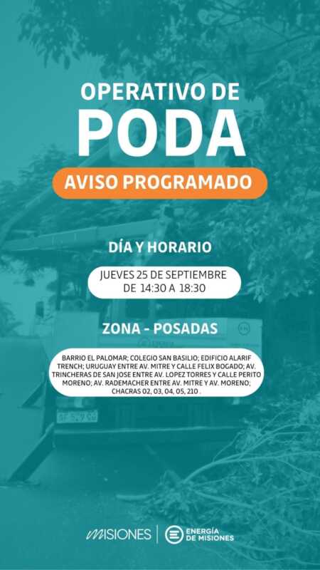 Operativo de poda en Posadas para garantizar el servicio eléctrico 2 poda