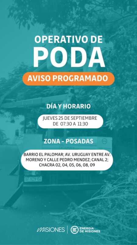 Operativo de poda en Posadas para garantizar el servicio eléctrico 1 poda