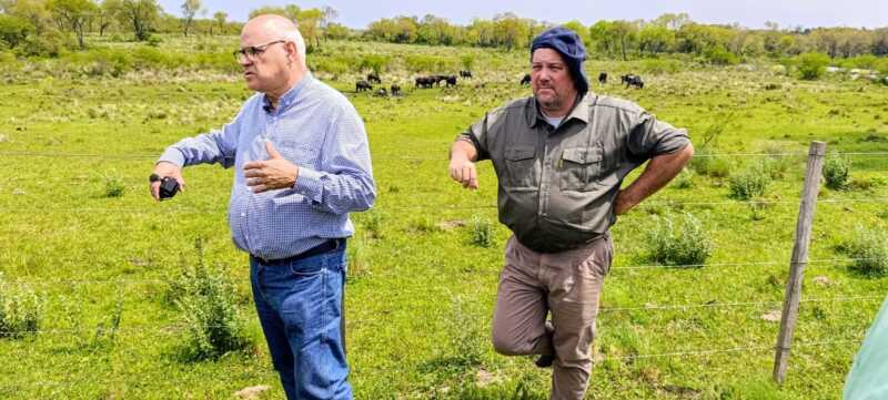 Misiones apuesta a la ganadería del futuro: Brahman colorado y búfalos como protagonistas 9 La carne de búfalo se posiciona como una opción gourmet en carnicerías y restaurantes especializados, explicaron Pamberger y Tejedor.