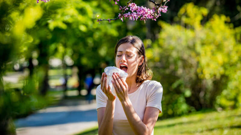 Primavera 