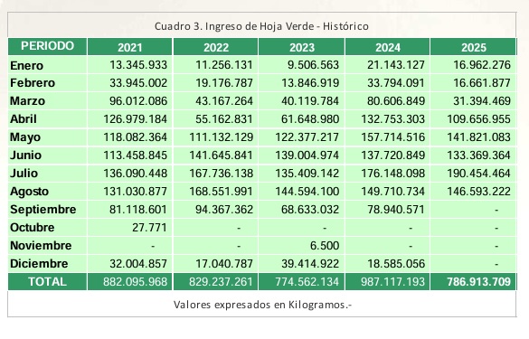 Misiones registró una caída del 13% en el ingreso de hoja verde a molino en 2025 7 valores historicos yerba - 6